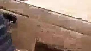 وضعية الكلب الجامحة مع فتاة غافلة في الغابة