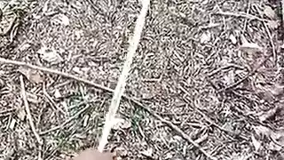 سكس امهات اثناء التدليك