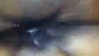 ابجيلا انت