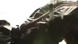 نيك نساء أقوام سمينات