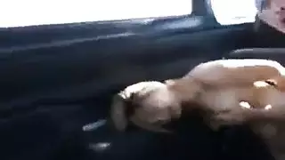 بنات إعدادى صدور