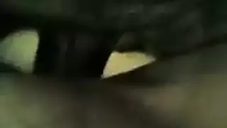 جب كسها