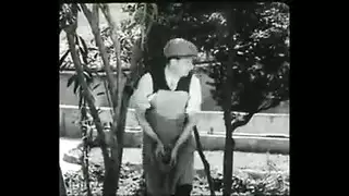 جنون عربي