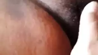 خرز شرقي خشب الأبنوس الجنس الشرجي