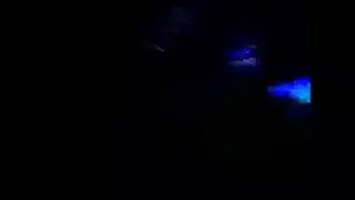 فرج وفاء يُضرب بقوة في مقطع إباحي