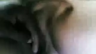 خيال بهيمي: رجل وبقرة في سكس صريح