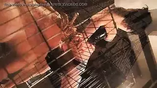 الابن ينقذ العائله