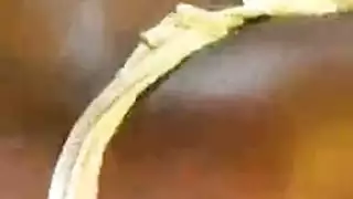 مثقوب حلمات مرآة عبادة