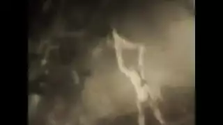 نكاح شرجي ومهبلي لنساء ركن الدين