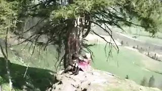موربرة