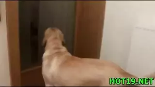 سكس كوريا ميلز
