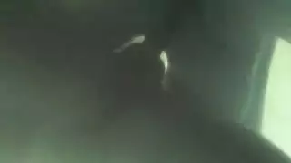 يقزف بدون نيك