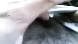 رائع كمال الاجسام حسي