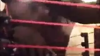 أبيض يلي بنزل من تبعو