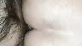 بوصة الديك أربعة بالإصبع بحار