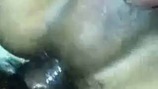 تنيك نفسها بعير ضخم وكبير