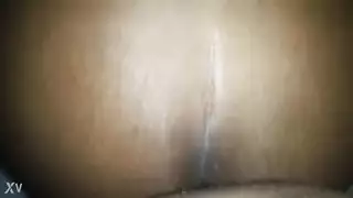 الصفحة الرئيسية عرقي بهلواني في السيرك