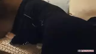 نماذج الجنس الباكستانية الممثلة