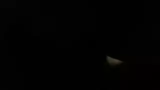 شباق سود مستعدون للاستدعاء، يظهرون وقتهم المثالي