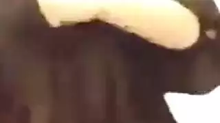 منقبة تخرج بزازها امام الكاميرا و اسخن نيك عربي 2019
