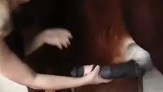 سكس حيوانات الحصان ينيك امراة