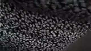 سكس نيك عربي قوي و فتاة تمتع حبيبها على الواقف