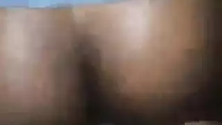 طرفة عين الملاعين في حزب البرية