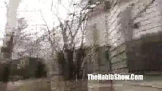 نيك في كلب