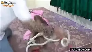 شميل مهيمن