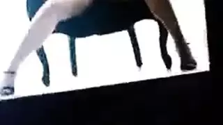 الشقية والمفترس
