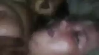 قذر الديك الكبير هاواي