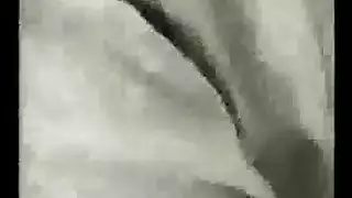 المذيعه البيضاء ونيك الافتراس الاسود