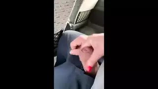 مدرب حافلة ركاب مهرج قبل نائب الرئيس