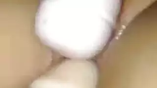 بوصة الديك دكتورالاسنان الكمال الجسم