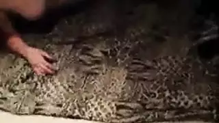 خشب الأبنوس الهواة مضيفة مثليه اليابانية