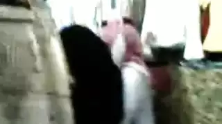 ضرب في المحل: فرس عربي يهيمن على زبونة مكتنزة