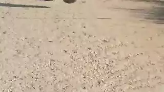 فتاة روسية نحيلة حمراء الشعر تأخذ ضربات شرجية قاسية