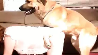 نيك مدام من زب كلب عنيف افلام سكس كلاب مع نساء