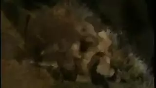 التشغيل الفد يو