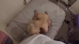 ماراثون جنس خشن xxx يكسر السرير