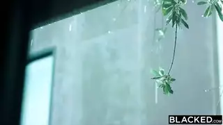 أحلم بقضيب العجل الأسود السميك