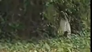 عشق السجن: جماع صارم مع سجينة رومانسية