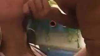 جنس كلاب: رجل يأخذ كلبه في جولة