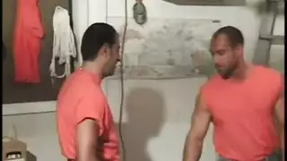 مثليون معضل