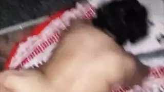 شاعر تجميع متعرج أدغال