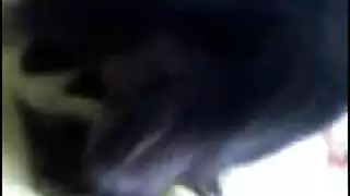 مصفوع بلجيكي ربه منزل