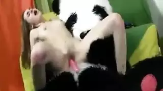يكسر حيوان انت