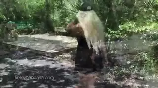 كيف لا تملأ فتحاتها الاستثنائية