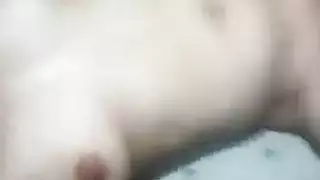 الشرج اللعب طبيب الوردي الهرة