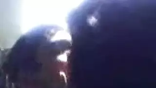 سيمفونية المني تجميع لإفرازات الذروة